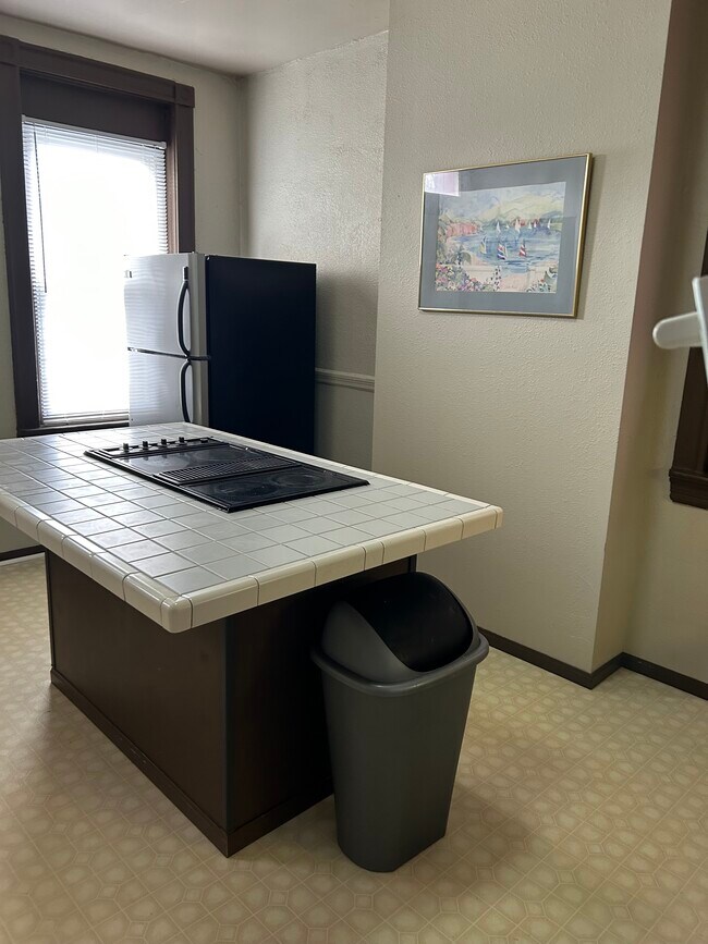 4545 Oakland Ave, Saint Louis, MO 63110 - photo 3