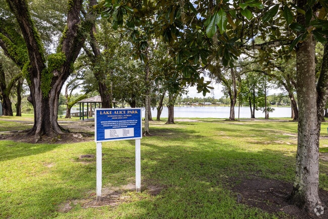 Families gather at Lake Alice Park for fishing, picnics, and lakeside views.