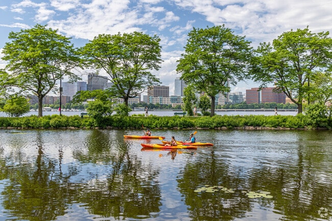 Enjoy a scenic kayak ride on the Charles River Esplanade in Back Bay.