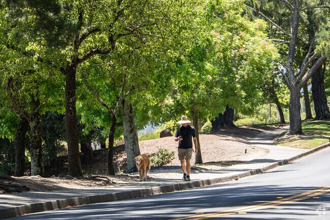 Sunlight filters through the trees as a man enjoys a walk with his dog in Orinda Woods.