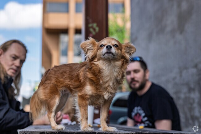 Murphy and Leffen residents drive a short distance to enjoy a meal downtown.