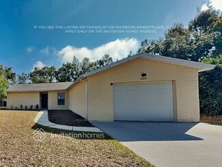 11515 Paperwood Place, Riverview, FL 33579