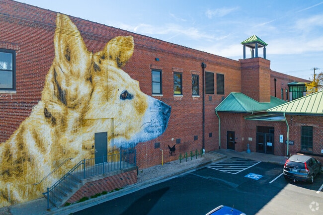 Find your new furry friend at Richmond SPCA.