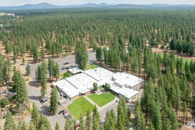 Burney Junior-Senior High School  has 238 students.