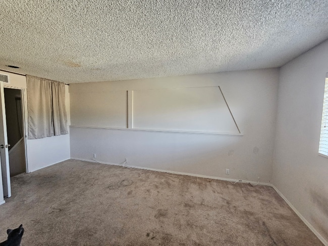 2533 Navarra Dr, Carlsbad, CA 92009 - photo 4