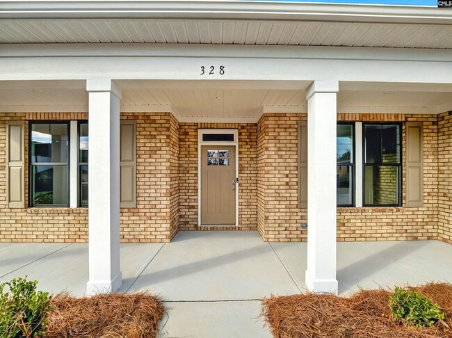 328 Murray Falls Ln, Chapin, SC 29036 - photo 5