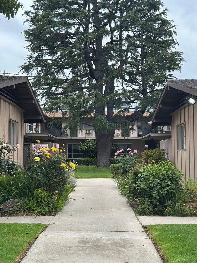 St, North Hollywood, CA 91602