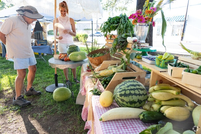 Grab your veggies for the week at the Dixon Farmers Market.