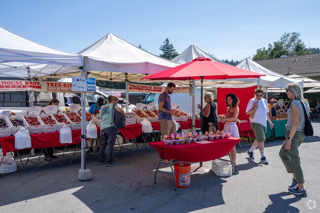 From May to October, Felton’s farmers market on Russell Avenue offers fresh produce, artisan goods, and a lively outdoor scene under the redwoods.