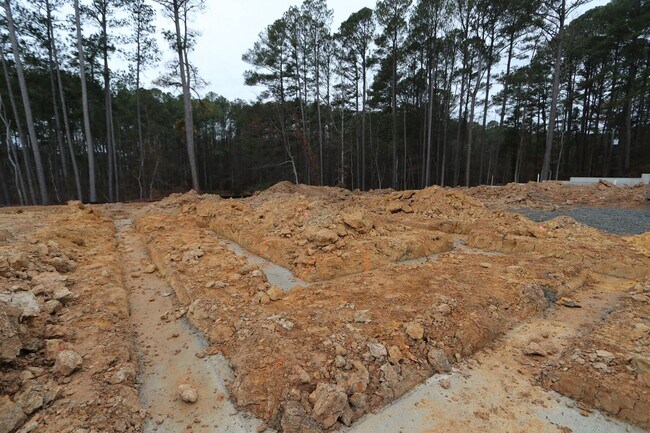 2408 Andrena Way, New Hill, NC 27562 - photo 6