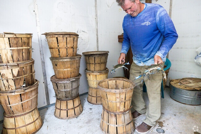 You can buy live or steamed crabs at a roadside stand right off Highway 13 in Temperanceville—fresh from local waters.