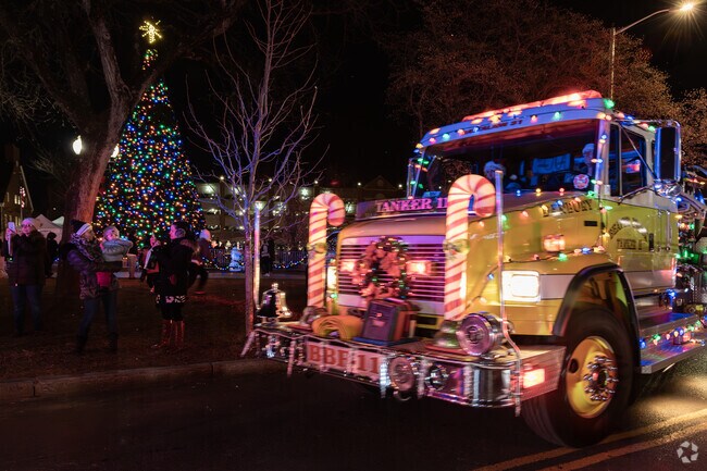 Watch Downtown Danbury shine at the annual Light the Lights celebration.
