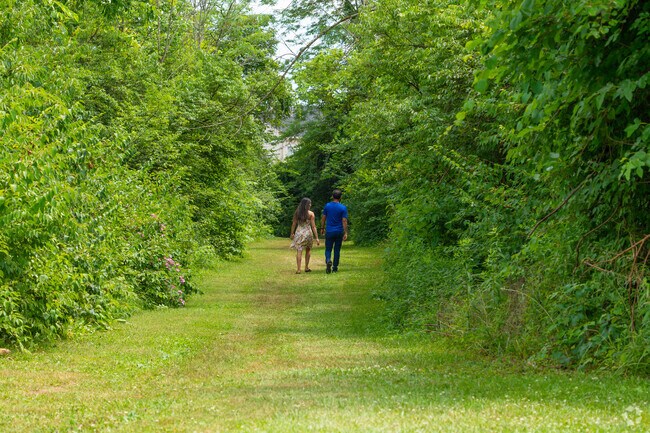 Take a walk through the trail at the Wetlands Park.