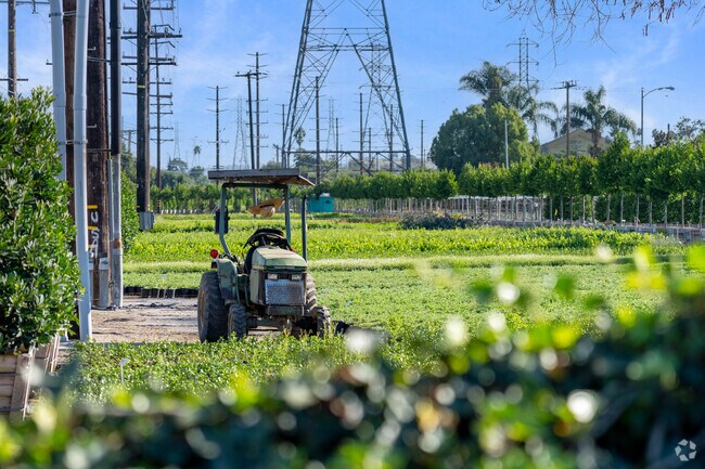 Norman's Nursery in San Gabriel has been a family-owned wholesale grower since the 1940s.