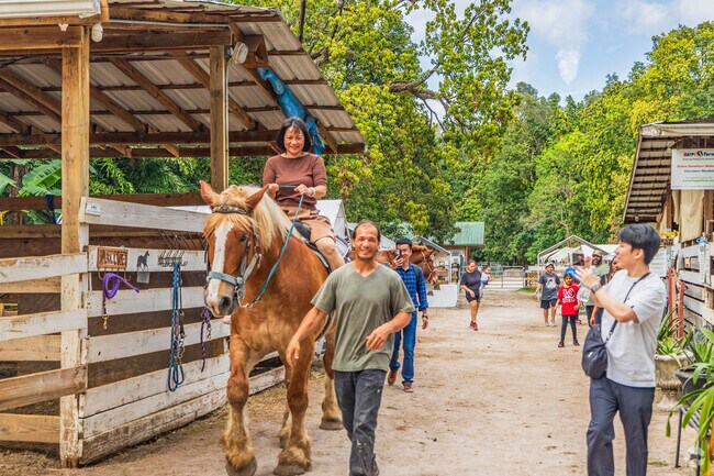 Spend a fantastic day with friendly horses at HAPPI Farm near Green Meadows.
