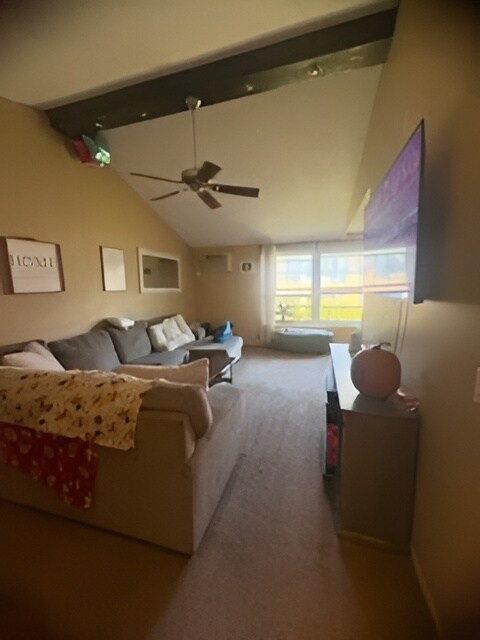 924 Westbrooke Way unit 7, Hopkins, MN 55343 - photo 2