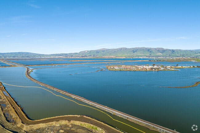 Wetlands make for gorgeous views surrounding the Alviso neighborhood.