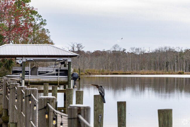 Wildlife and boaters meet in Monclair.