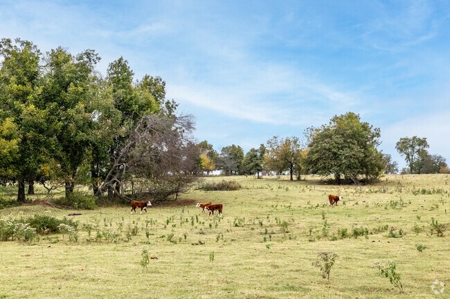 Jones is a suburban town located about 20 miles northeast of Oklahoma City with green pastures.
