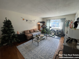 75 Thingvalla Ave Unit 1, Belmont, MA 02478