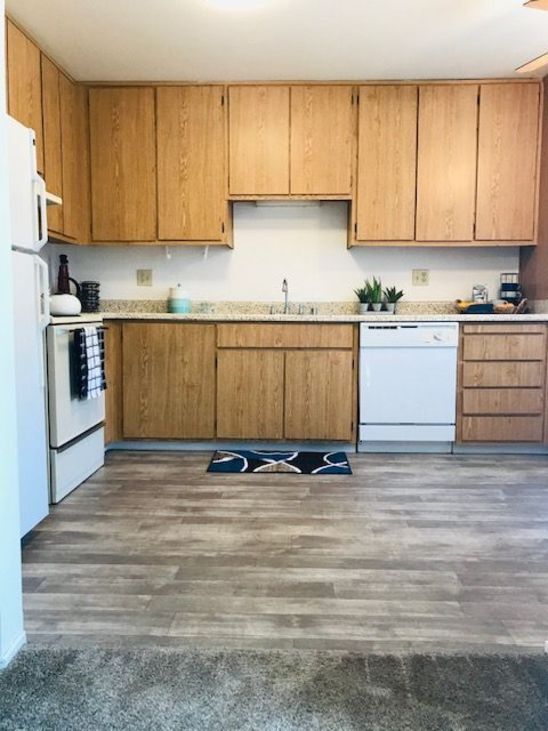 Orchids II Apartments, Halliday, ND 58636 - photo 4