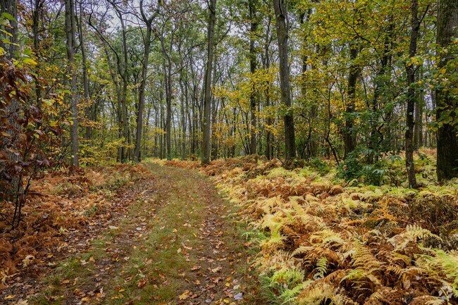 Visitors enjoy hiking the trails at Gallitzin State Forest.