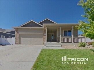 931 Mount Shavano Ave, Severance, CO 80550