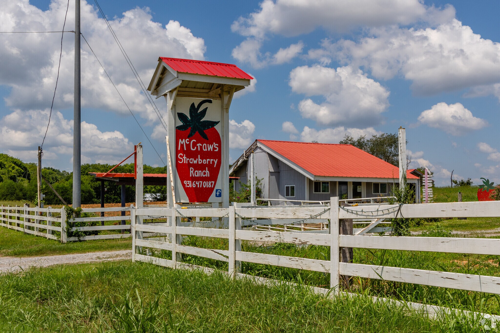 You can pick your own Strawberries at McCraw Farms near Bradbury Farms.