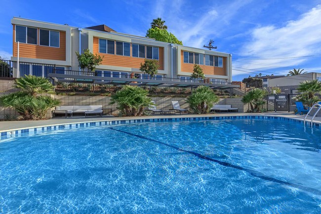 Resort Style Pool