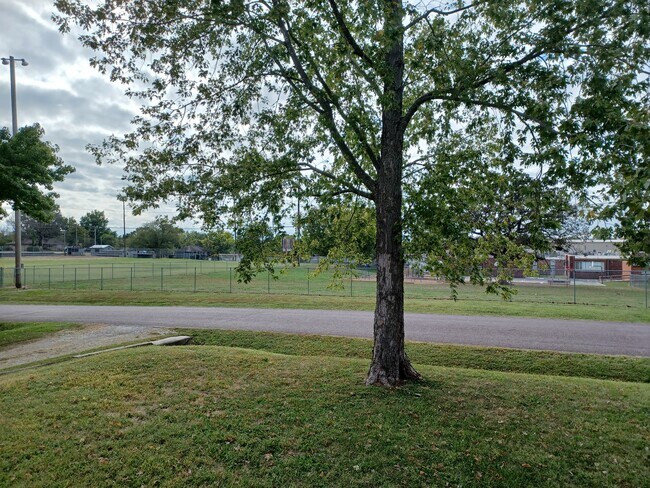 206 S Bagby St, Knob Noster, MO 65336 - photo 3