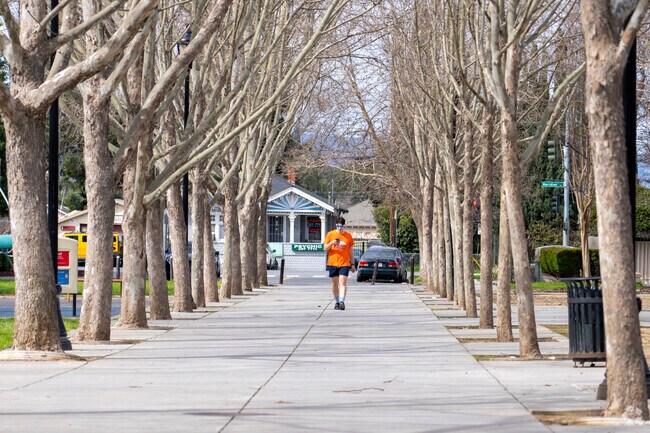 A man strolls through O'Connor Park in Shasta Hanchett Park.