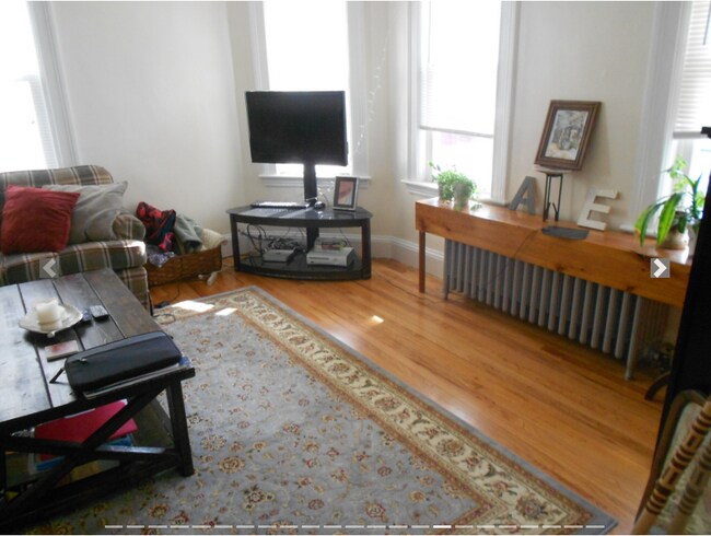 65 Fairbanks St unit 1, Brighton, MA 02135 - photo 7