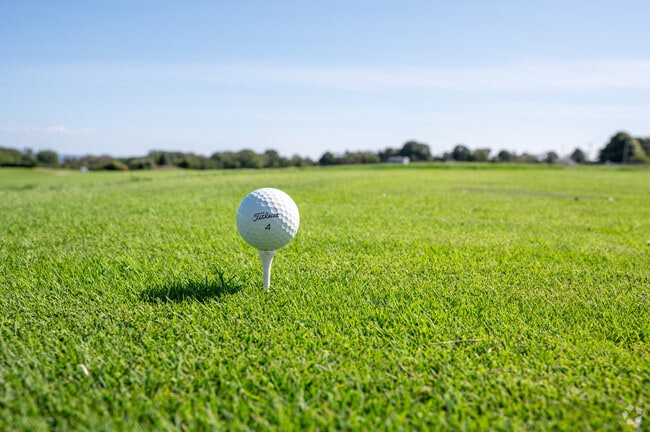 A day on the course at Round Hill Community Golf Club won't disappoint in Cow Yard Nonquitt.