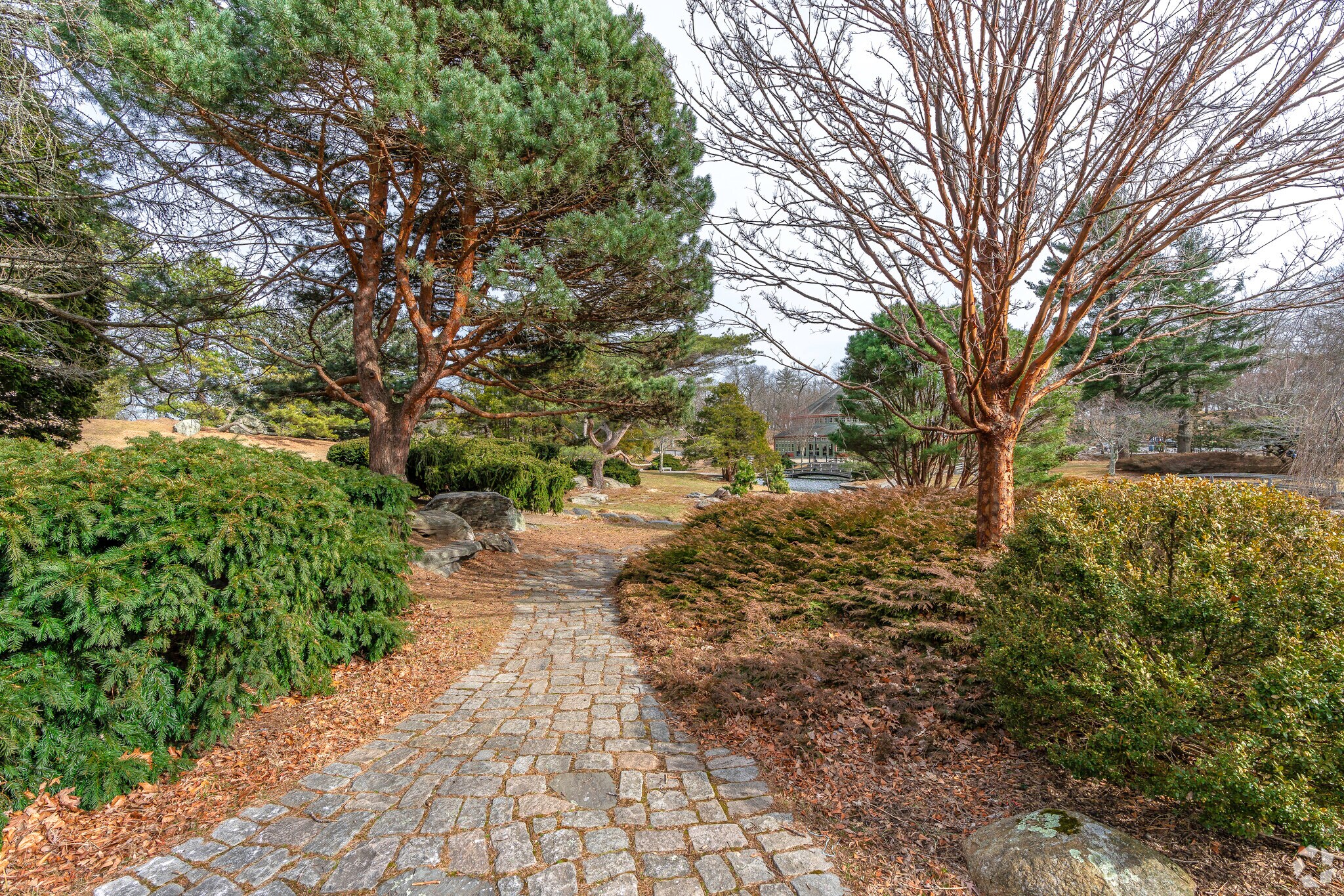 Japanese Garden walking paths