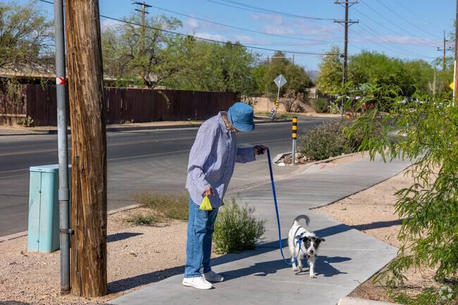 There are plenty of sidewalks for walking dogs in Oak Flower.