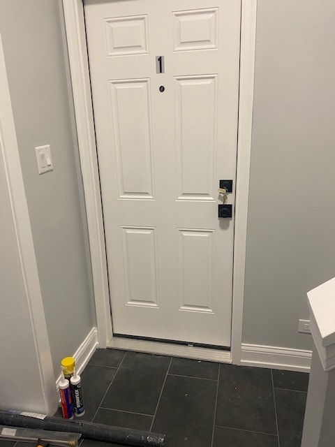 Unit Entry Door