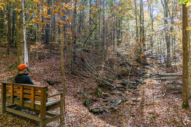 The Cascades Preserve in Stokesdale offers a serene waterfall and is perfect for hiking.