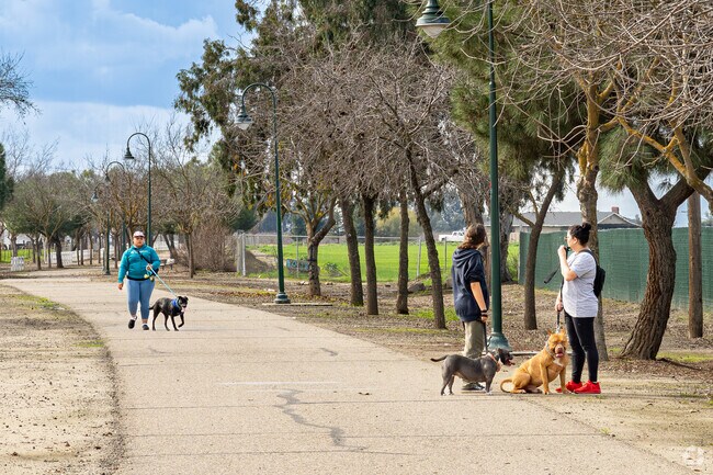 A group of young women walk their dogs on the Santa Fe trail in Tulare.