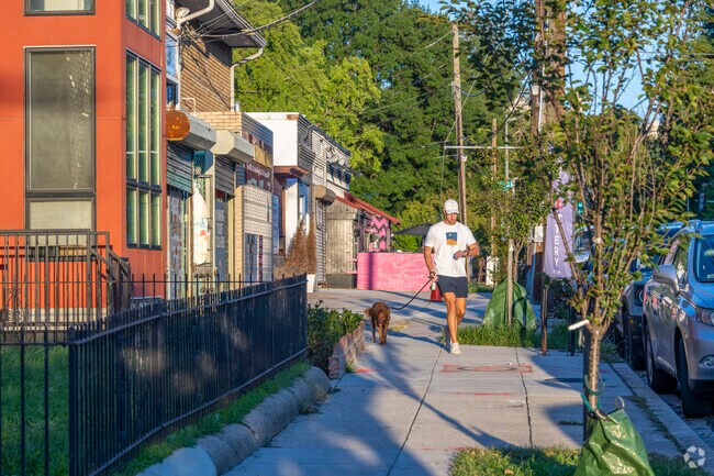 Pleasant Hill is residential, but shops can be found in nearby Petworth and Fort Totten.