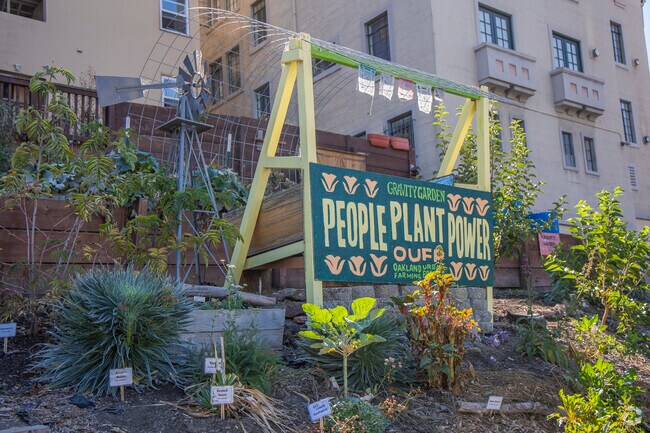 Ivy Hill's publicly run Gravity Garden aims to provide fresh produce to the community.