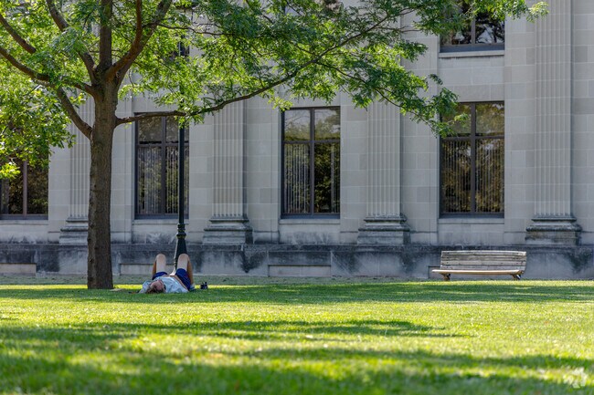 Roe Park is a great place to get away from it all.