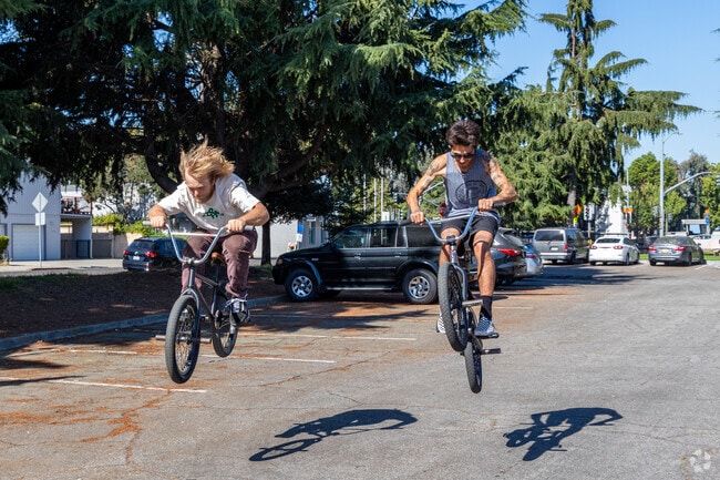 You can find Davis Tract BMX riders hanging out in Thrasher parks.