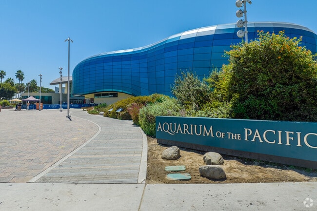 Downtown Long Beach boasts one of the top aquariums in the country, Aquarium of the Pacific.