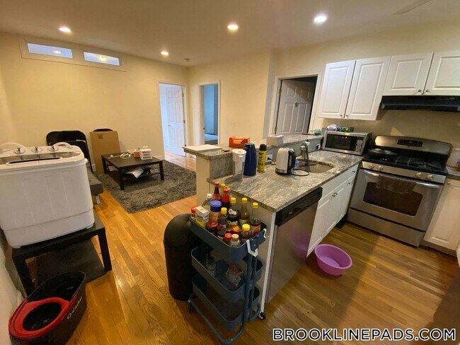 66 Egmont St unit 2, Brookline, MA 02446 - photo 2