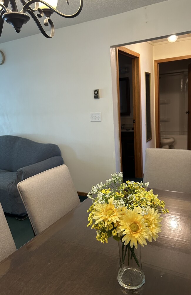 105 N 5th St unit 101, Fairfield, IA 52556 - photo 4