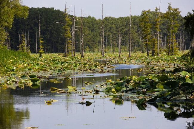 Black Bayou Lake National Wildlife Park.