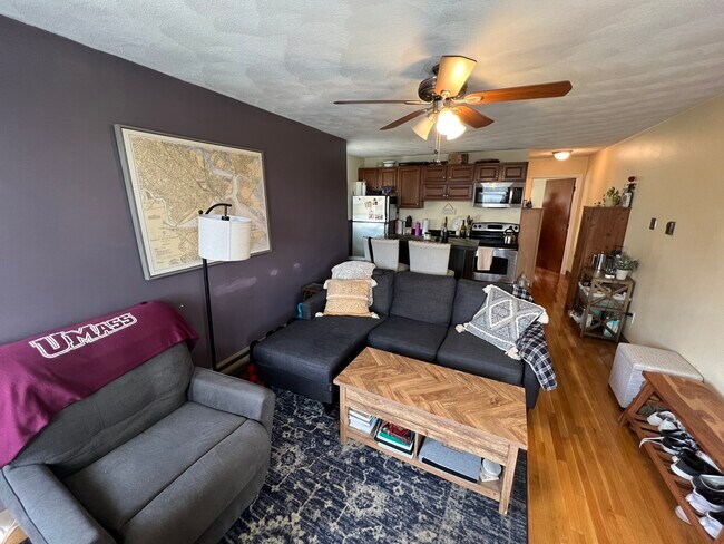 217 Holland St unit 3B, Somerville, MA 02144 - photo 3