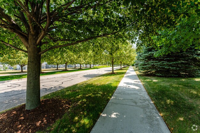 Shaded sidewalks and spacious roads are the norm in West Bolingbrook.