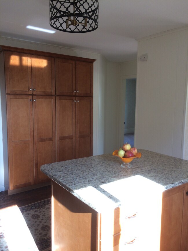 Granite Island/new cabinets