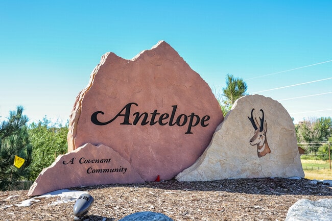 If you like spacious living close to amenities, you may like Antelope/Chapparal.